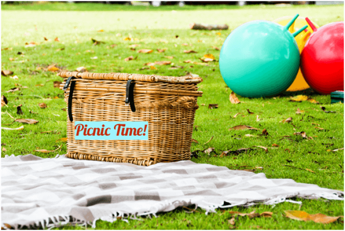 20 Wonderful Picnic Spots To Enjoy In Sydney