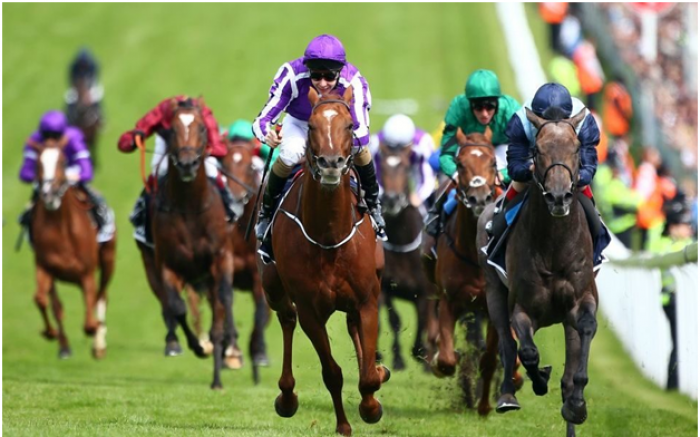 6 Paypal Horse Racing Bookies In Australia