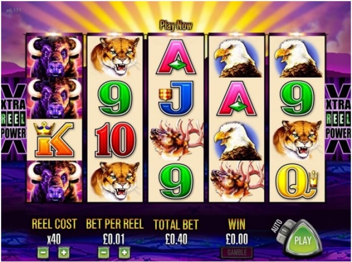 How To Play Aristocrat Buffalo Pokies