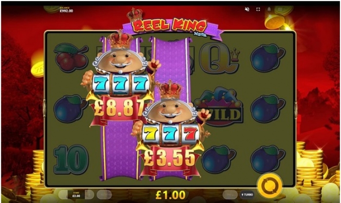 How To Play Reel King Mega Pokies