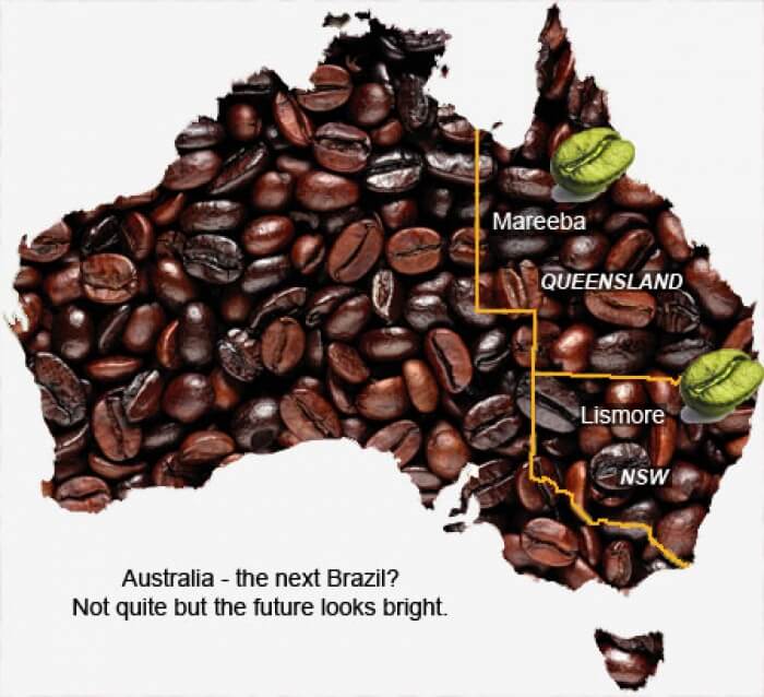 The Brew- You will love it!