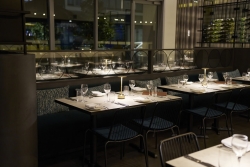 Bailey on the Terrace