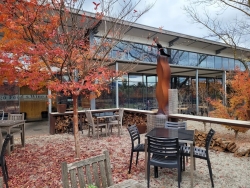 Baringo Food and Wine Co