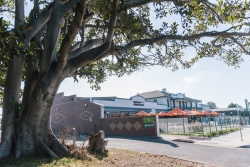 Barwon Heads Hotel