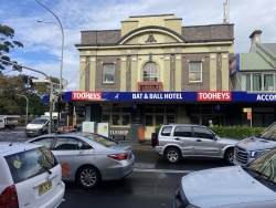 Bat and Ball Hotel
