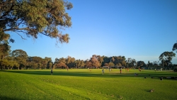 Belmont Sports & Recreation Club Inc.