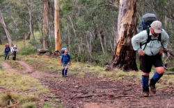 Bushwalking Clubs NSW Inc, Confederation of