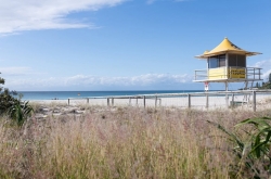 Coolangatta Surf life savings supporters club Inc