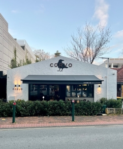 Corvo Bar & Kitchen