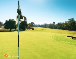Golf Club Restaurant