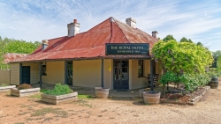 Grazing at the Royal Hotel Gundaroo