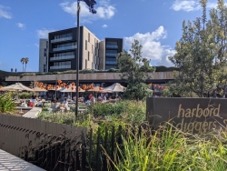 Harbord Diggers
