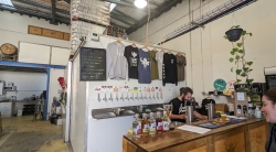 IMPI BREWERS