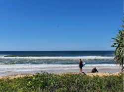 Kawana Surf Club