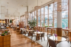 Liquid, Novotel Darling Harbour