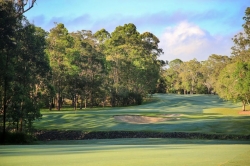 Noosa Golf Club