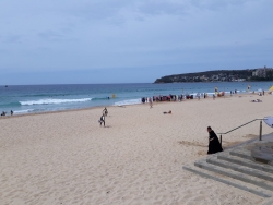 Sydney Surf School