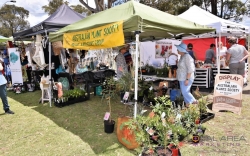 The Australian Plants Society