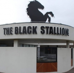 The Black Stallion Hotel