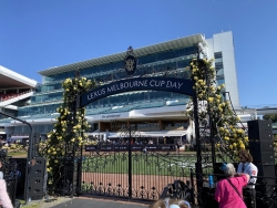 The Hill Stand