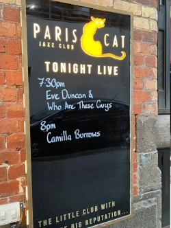 The Paris Cat