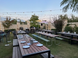 Tilly's Garden