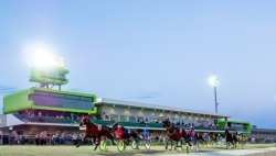 Victoria Harness Racing Club