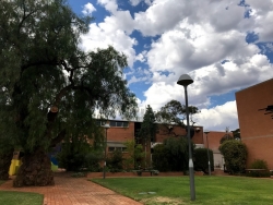 WASM Social Club