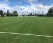 Brighton Roosters Junior Rugby League Club Inc