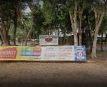 Cairns City Lions Australian Football and Sporting Club Inc