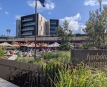 Harbord Diggers