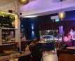The Black Bee Craft Beer & Wine Bar