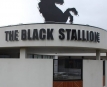 The Black Stallion Hotel