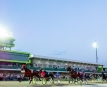 Victoria Harness Racing Club